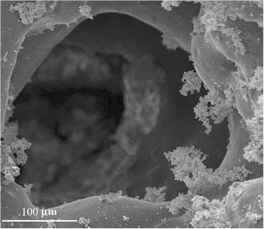 ���ӺY���Ƃ�{�ײ����еđ���