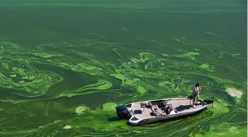 �������I�B��